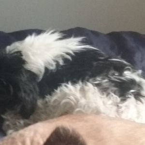 Meet your Posher, Ethan